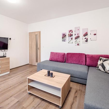Private Luxury Apartments Frymburk Ruang foto